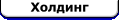 Холдинг