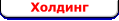Холдинг
